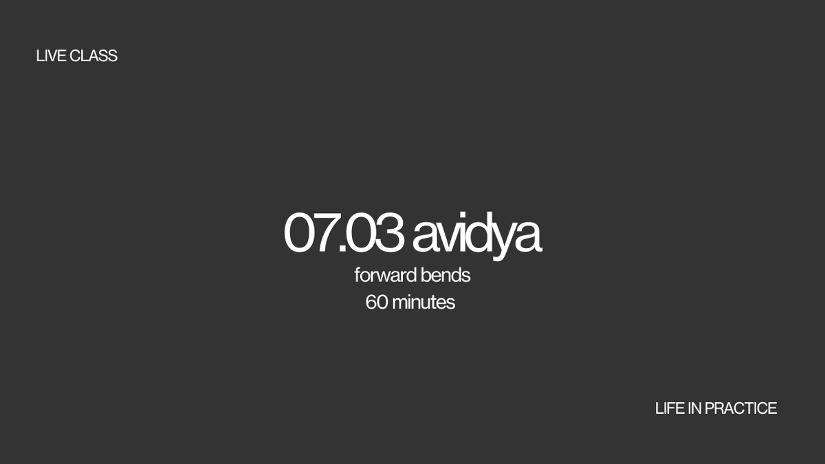 07.03 avidya