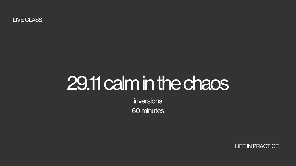 29.11 live class - calm in the chaos