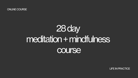 meditation course