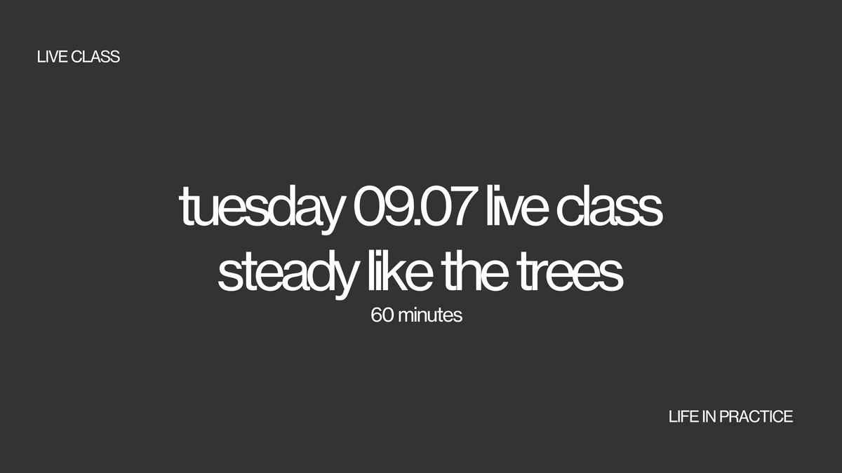 tuesday 09.07 live class- steady like the trees - lifeinpractice