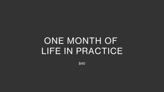 ONE MONTH OF LIFE IN PRACTICE