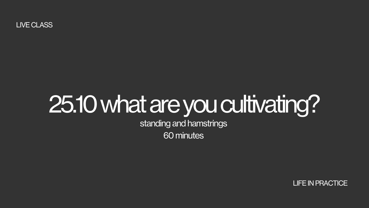 25.10 live class - what are you cultivating