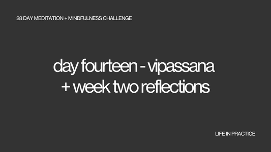 day fourteen - vipassana + week two reflections