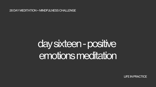 day sixteen - positive emotions meditation