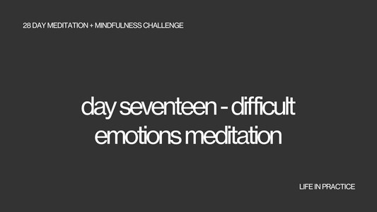 day seventeen - difficult emotions meditation