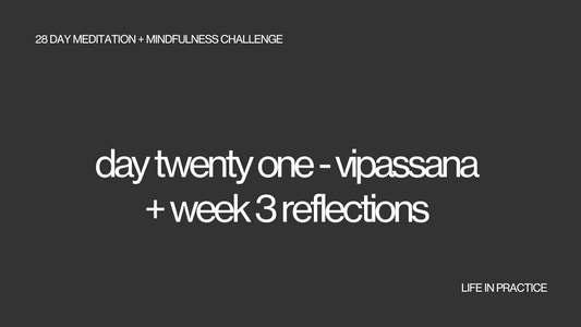 day twenty one - vipassana + week 3 reflections