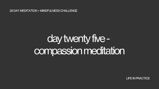 day twenty five - compassion meditation