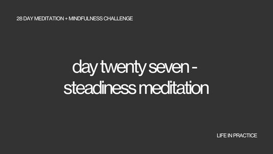 day twenty seven - equanimity meditation