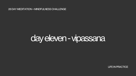 day eleven - vipassana