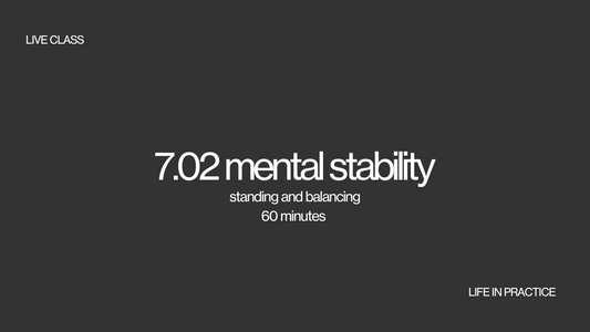7.02 mental stability