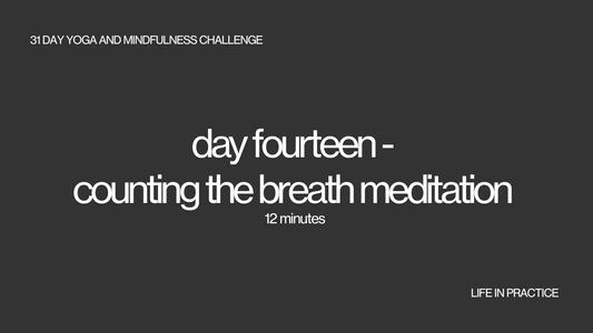 day fourteen - counting the breath meditation