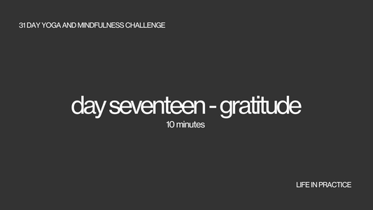 day seventeen - gratitude