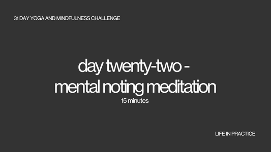 day twenty two - mental noting meditation