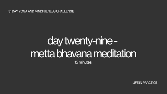 day twenty nine - metta bhavana meditation