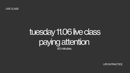 tuesday 11.06 live class - paying attention